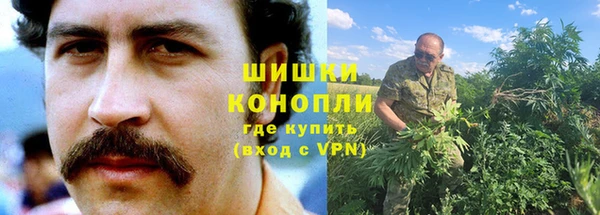сатива Семёнов