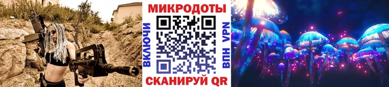 Купить где Кемь Галлюциногенные грибы мухоморы